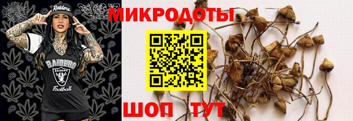 Галлюциногенные грибы MAGIC MUSHROOMS Вичуга